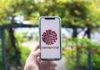 Big Brother Busted: Apple & Google building ‘Coronavirus’ tracking tech into iOS and Android