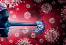 Phantom Virus: In search of Sars-CoV-2