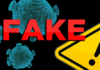The five key events in the fake pandemic