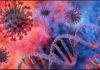 Covid “Mutation” Stories Show That The Lockdowns Are Designed To Last Forever
